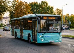 В ЛНР прибудут более 30 новых автобусов до конца лета
