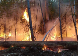 Специалисты планируют оценить состояние лесов, воздуха, водоёмов и питьевой воды ЛНР 