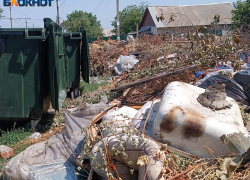 В ЛНР появится современный полигона для отходов