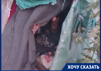 «Даже скотину жалко»: пожилой луганчанин второй год живет на улице в тряпичном шалаше 