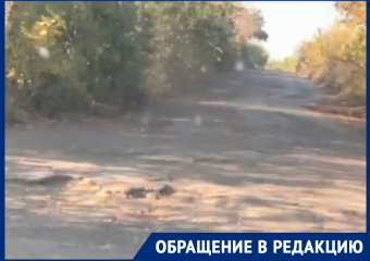 «К нам больше не едут маршрутки»: жители Зимогорья ЛНР просят отремонтировать в их городе дороги