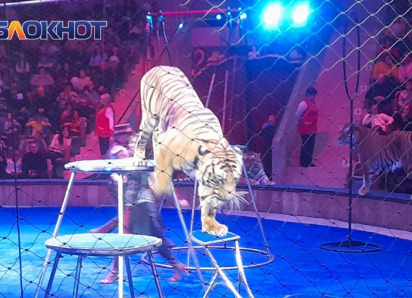 Около двух миллиардов рублей обойдется реконструкция Луганского цирка