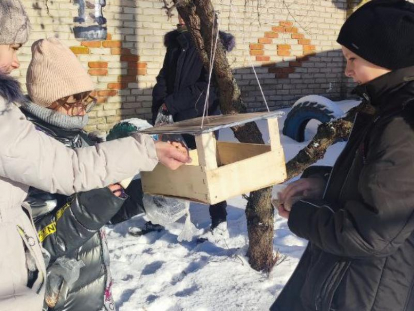 Кормушки с кормом для птиц изготовили и развесили школьники из Новопсковского района ЛНР 