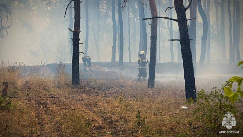 В Станично-Луганском районе ЛНР огнем поврежден 161 жилой дом