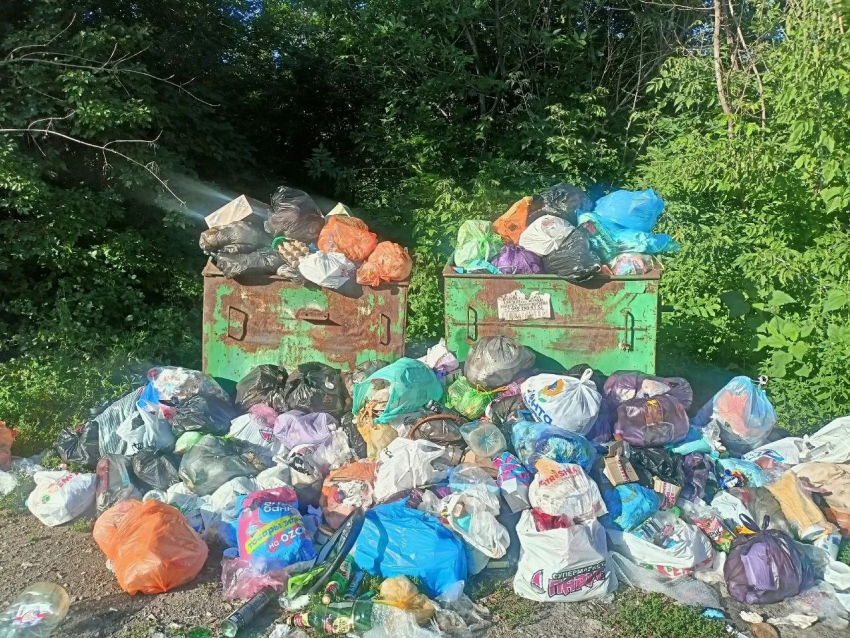 Во дворе дома в Алчевске ЛНР начался мусорный апокалипсис