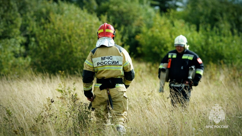 Ландшафтные пожары в ЛНР оставляют гектары выжженной земли