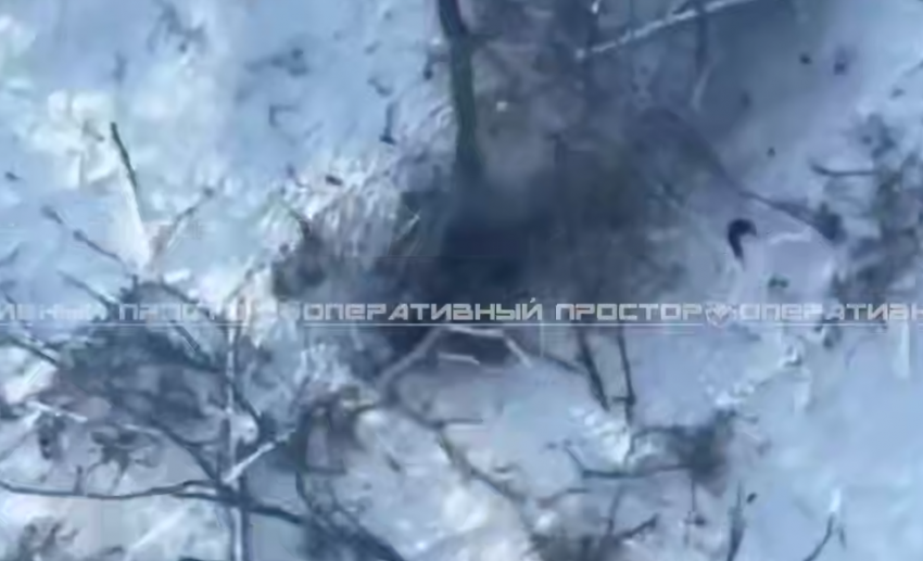 Новости СВО: ВСУ уничтожили своих бойцов, сдавшихся в плен ВС РФ, российские бойцы заняли опорник в Закотном и освободили Дегтярное