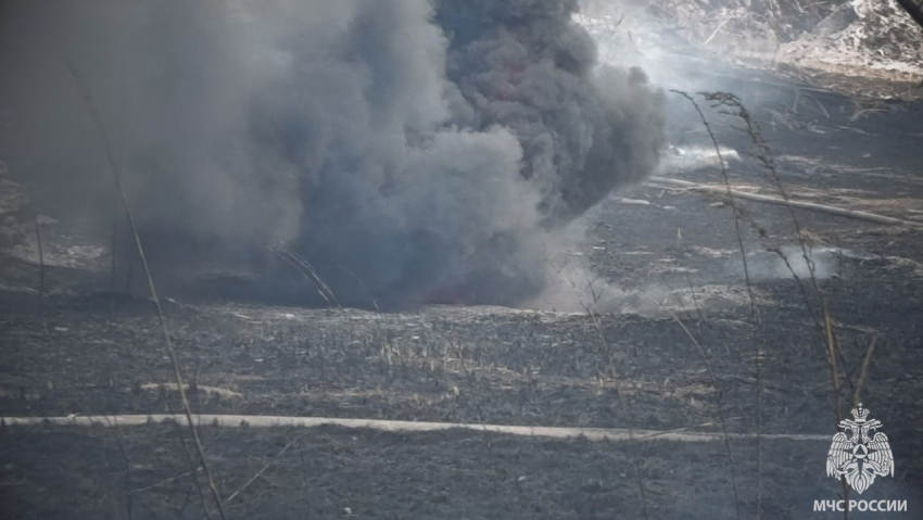 В ЛНР предотвратили крупный ландшафтный пожар и спасли от огня ДК