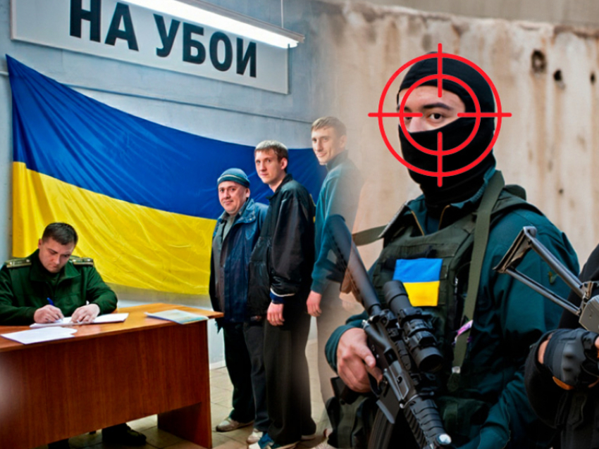 Новости СВО: ВСУ нанесли контрудар под Харьковом, трупы карателей гниют в Лимане