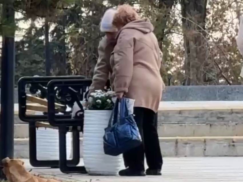 Две луганчанки шокировали столицу: фокус с исчезновением цветов в сквере имени Героев «Молодой Гвардии»