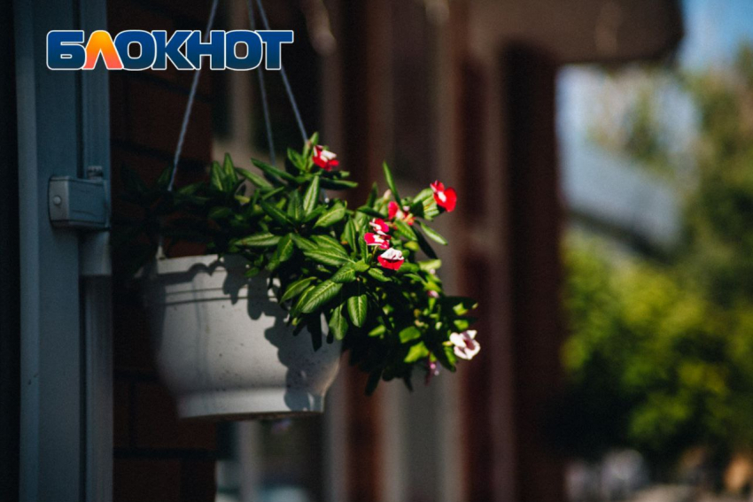 В ЛНР ненадолго вернулась аномальная жара