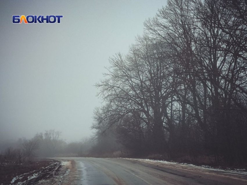 Минприроды ЛНР: в регионе ожидается теплая зима и мало осадков