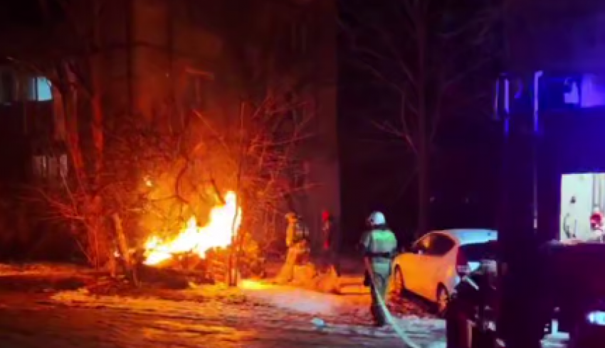 Живодеры подожгли будку с бродячими собаками в Луганске