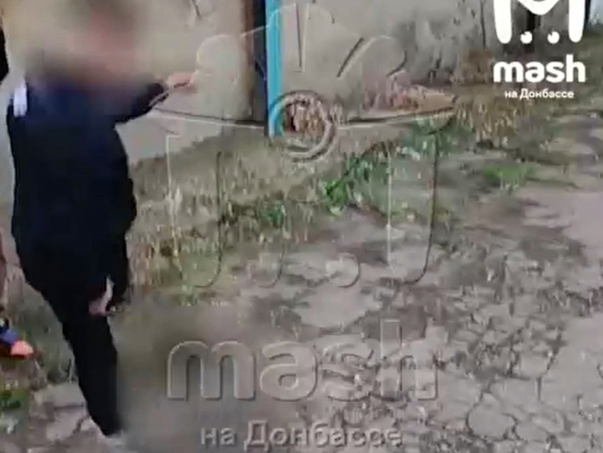 Снимали и смеялись: малолетние живодёры из Первомайска ЛНР избили котенка и выложили видео в соцсети