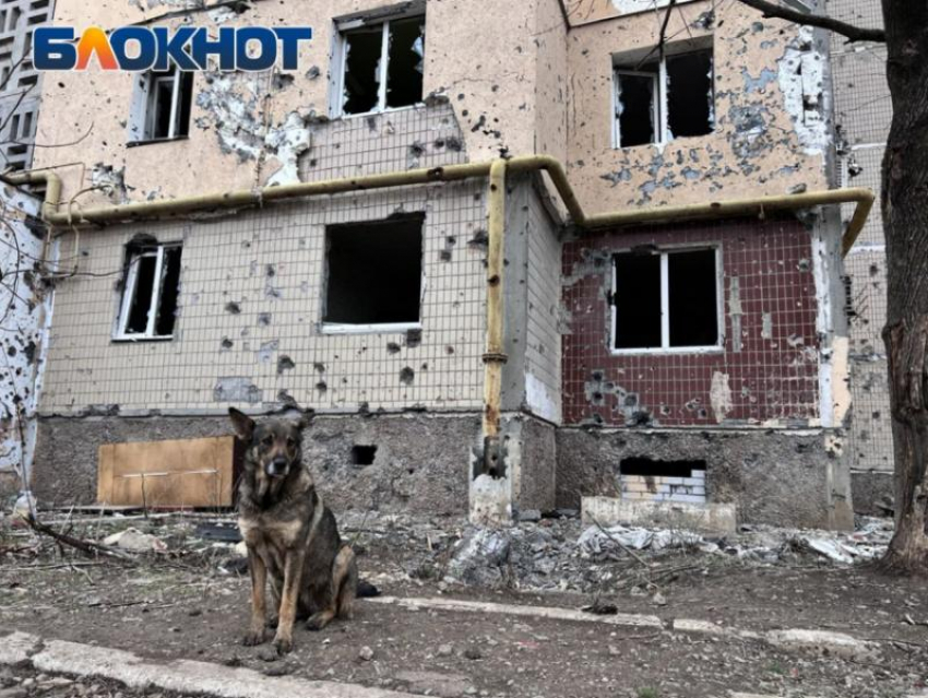 В ЛНР решают судьбу объектов, разрушенных в ходе боевых действий