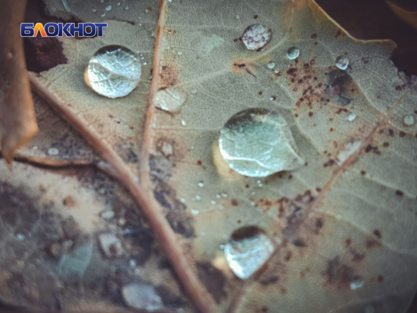 В понедельник в Луганске ожидается небольшой дождь и ветер