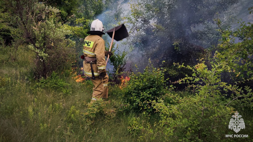 В ЛНР с начала года зафиксировали около 4 тысяч пожаров