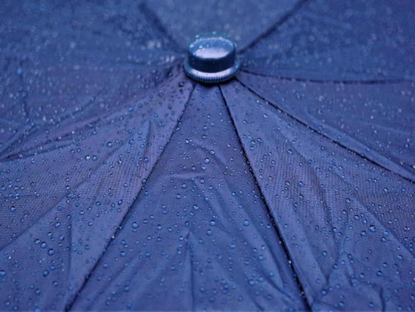 Тепло, но дождливо: погода в ЛНР 13 ноября