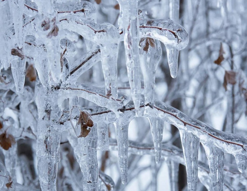 Мокрый снег и ледяной дождь одолеют ЛНР 8 февраля