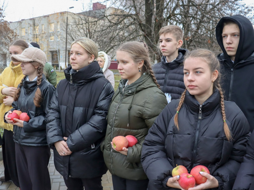 В Антраците ЛНР высадили более 450 яблонь