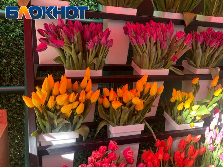 101 тюльпан или оплаченная коммуналка: что реально хотят луганчанки на 8 Марта