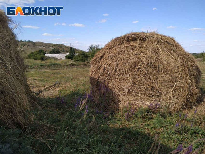 Для сельской местности ЛНР подготовлен список мероприятий по благоустройству