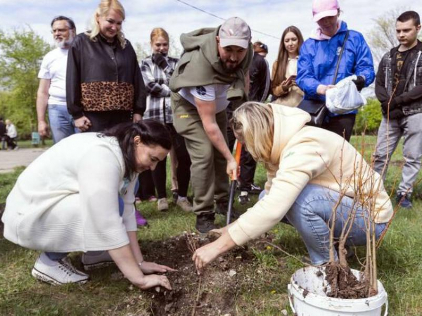 Луганчане высадили 150 деревьев в парке «Дружба» 
