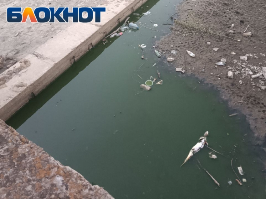 Обстановка на берегах Луганского моря