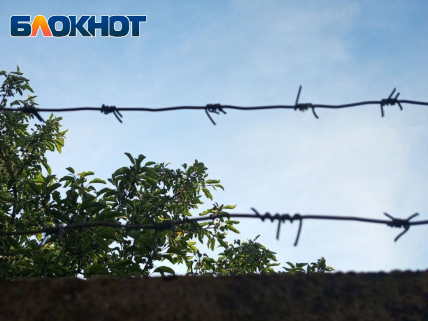 Жулик из луганского СИЗО: молодой дончанин выманил сбережения у землячки