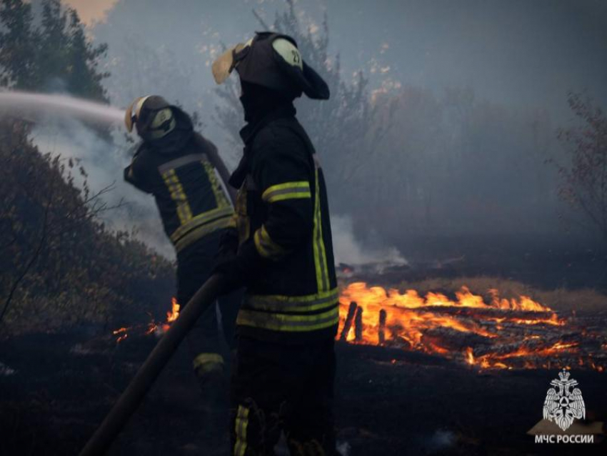 Сводка МЧС ЛНР: четыре возгорания за сутки