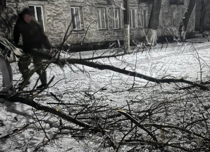 Почти 68 000 жителей ЛНР остались без света из-за последствий выпадения мокрого снега и дождя