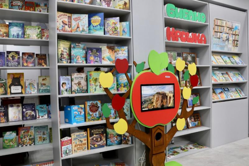 От игр до интерактива: в ЛНР открылась модельная библиотека для детей