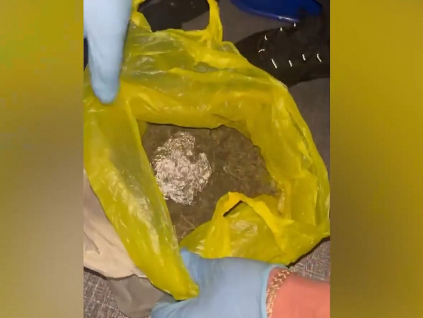 В ЛНР поймали жителя Алчевска, прятавшего в лесу марихуану
