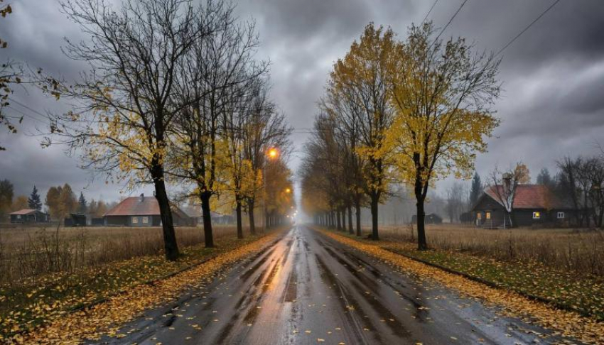 Синоптики напустили тумана в прогноз для ЛНР