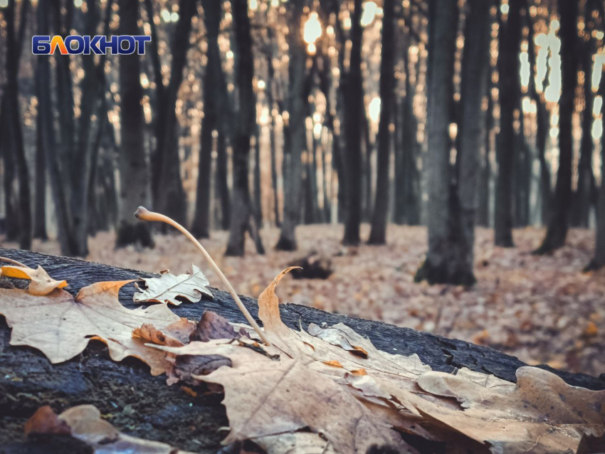 В субботу синоптики обещают луганчанам теплую и солнечную погоду