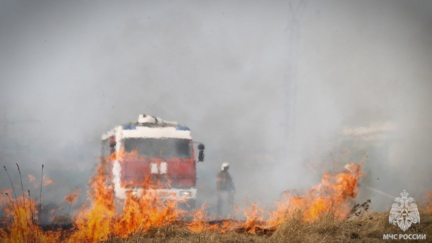 В ЛНР пришли невыносимая жара, засуха, а с ними – лесные пожары