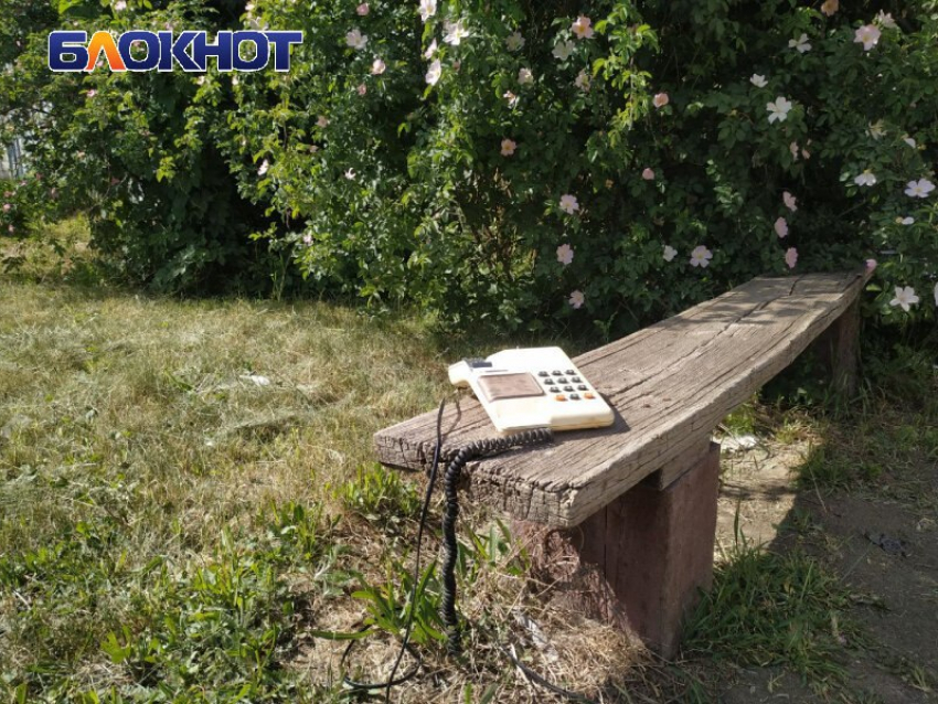 В ЛНР к концу года заработает служба 122