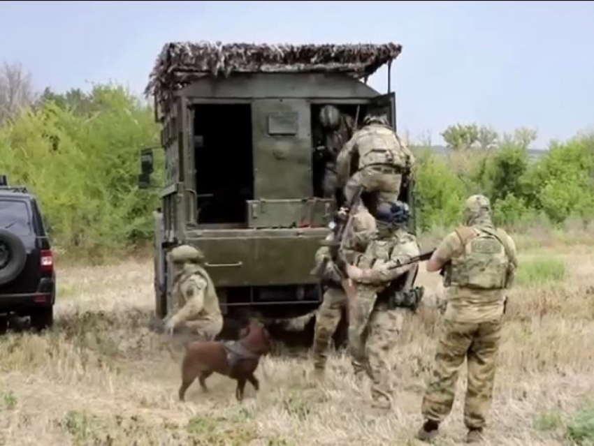 В ЛНР лабрадор Багира нашла тайник со 125 кг тротила