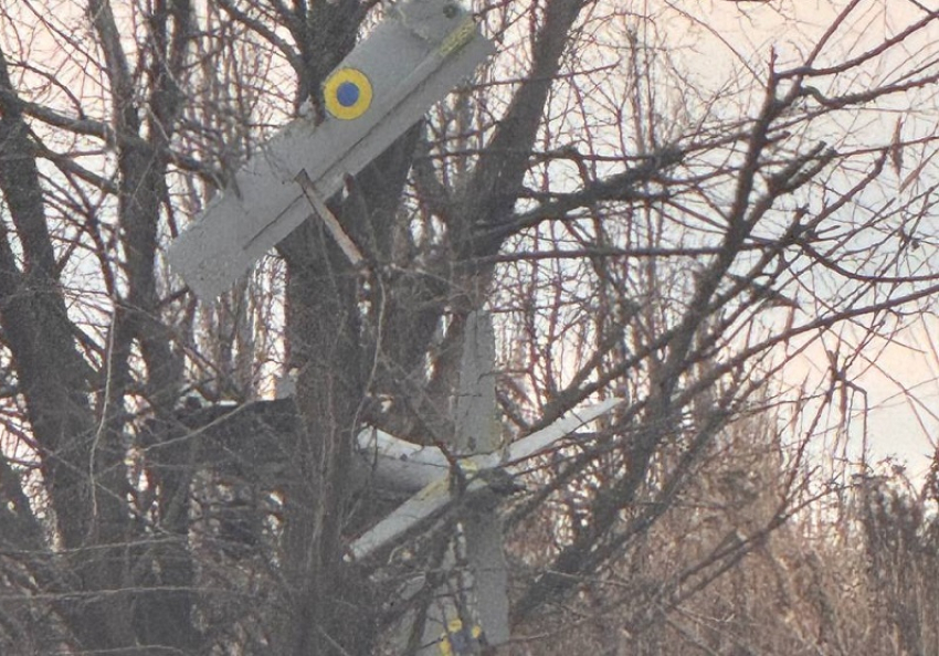 Украинский БПЛА самолетного типа запутался в ветках дерева в Кировске
