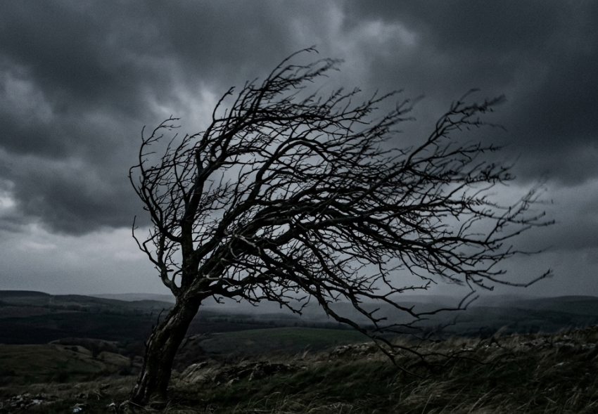 Штормовой ветер, заморозки и дожди: прогноз погоды в ЛНР на 27 апреля