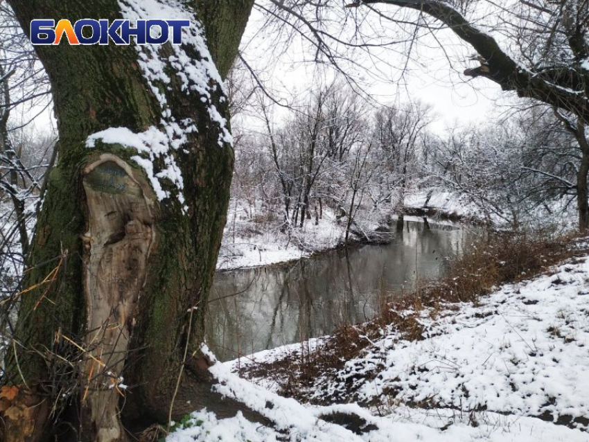 В ЛНР расчистят 160 километров береговых полос