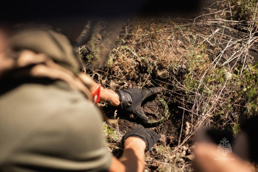 15 взрывоопасных предметов и 3 аварийных ситуации выявлено в ЛНР за сутки