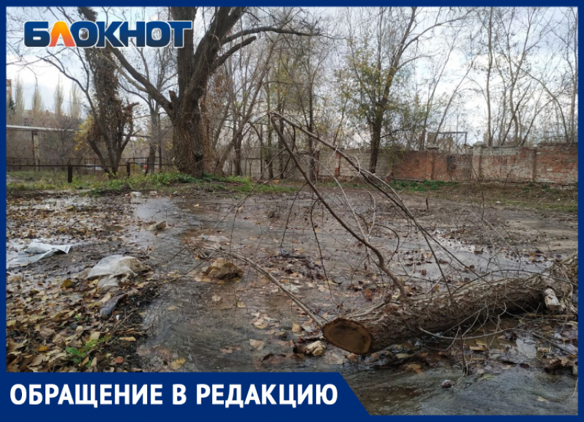 А вода по асфальту рекой: луганчане пожаловались на «коммунальный» водопад на улице Щаденко