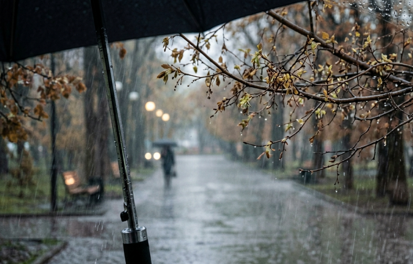 Дожди и до +15°C: синоптики дали прогноз в ЛНР на 15 апреля