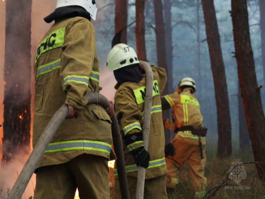 Четыре пожара: оперативная сводка ЛНР за сутки