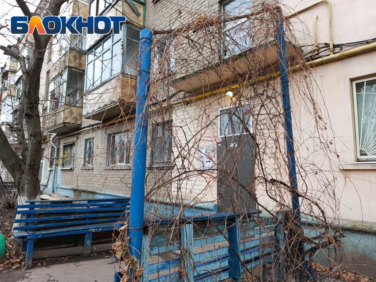 Уфадағы жалаңаш қыздар (фото)