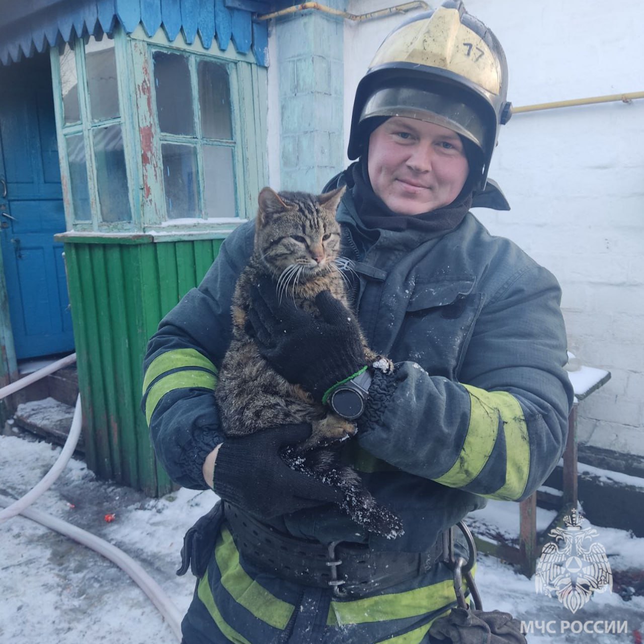 Сотрудники МЧС ЛНР спасли кота, лежавшего без сознания в горящем доме